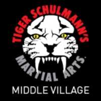 Tiger Schulmann's Martial Arts (Middle Village, NY) Logo