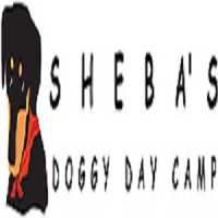 Sheba's Doggy Day Camp Logo
