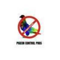 Pigeon Control Pros Logo