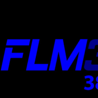 FLM 380 WIRELESS Logo