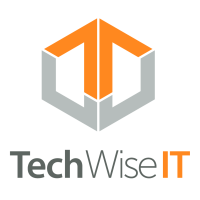TechWise IT Logo