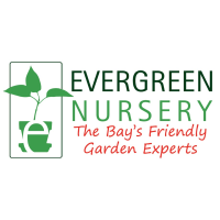 Evergreen Nursery Logo