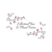 Ellestad Tree & Plant Farm Logo