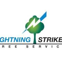 Lightning Strikes Tree Logo