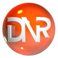 DNR General Contracting & Consulting Logo