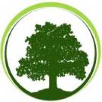 Triple J Tree Services Logo