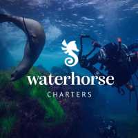 Waterhorse Charters Logo
