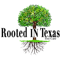 Rooted In Texas Tree Care Logo