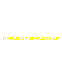 Nino Hauling and Clean Up Logo