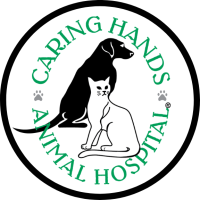 Caring Hands Animal Hospital - Ashburn Logo