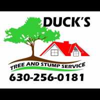 Duck's Tree & Stump Service Logo