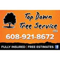 Top Down Tree Service, LLC Logo