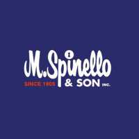 M Spinello & Son Locksmiths Safe & Security Experts Logo