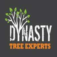 Dynasty Tree Experts Logo