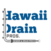 Hawaii Drain Pros Logo