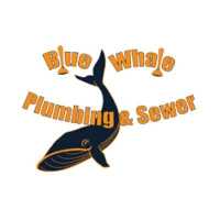 Blue Whale Backflow, Plumbing, & Excavating Logo