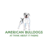 American Bulldogs at Think About It Farms Logo