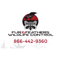 Fur & Feathers Wildlife Control Logo