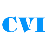 Cumberland Valley Insurance Logo