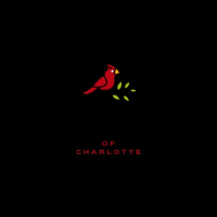 Wild Bird Center of Charlotte Logo