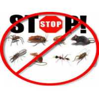 Detroit Bed Bug & Pest Control Specialist Logo