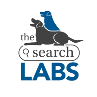 The Search Labs Logo