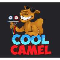Cool Camel Logo