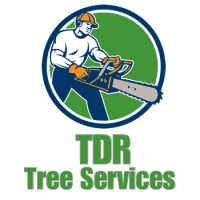 tdr tree solutions llc Logo