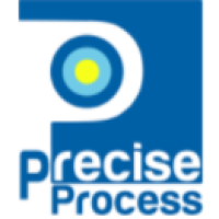 The Precise Process Logo