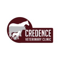 Credence Veterinary Clinic PLLC Logo