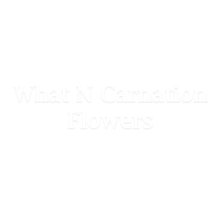 What N Carnation Flowers Logo