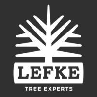 Lefke Tree Experts Logo