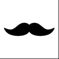 Stache Junk Removal and Property Services Logo
