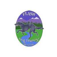 Flash Dog Training Bend Oregon Logo