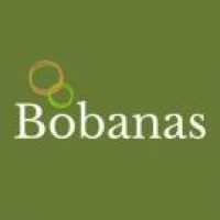 Bobanas Logo