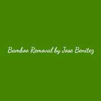 Bamboo Removal by Jose Benitez Landscaping Design Logo