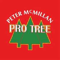 Peter McMillan Pro Tree LLC Logo
