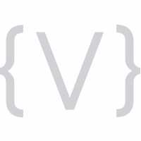 Vivid Image Logo