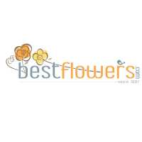 Best Flowers Worldwide Logo