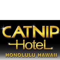 Catnip Cat Grooming Honolulu Logo