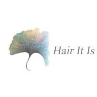 Hair It Is Logo