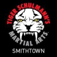 Tiger Schulmann's Martial Arts (Smithtown, NY) Logo
