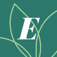 Elemy Logo
