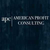 American Profit Consulting Logo