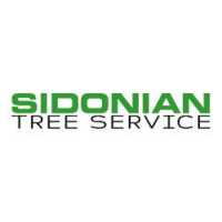 Sidonian Tree Service Logo
