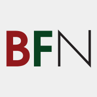Business First Networks Logo