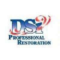 DSi Professional Restoration Logo