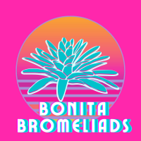 Bonita Bromeliads Logo