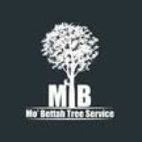 Mo' Bettah Tree Service Logo