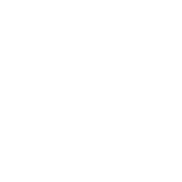 Blossoms and Branches, LLC Logo